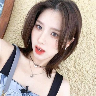 雏菊 高清封面